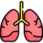 lungs-icon