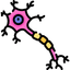 nerve-cell