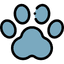 paw