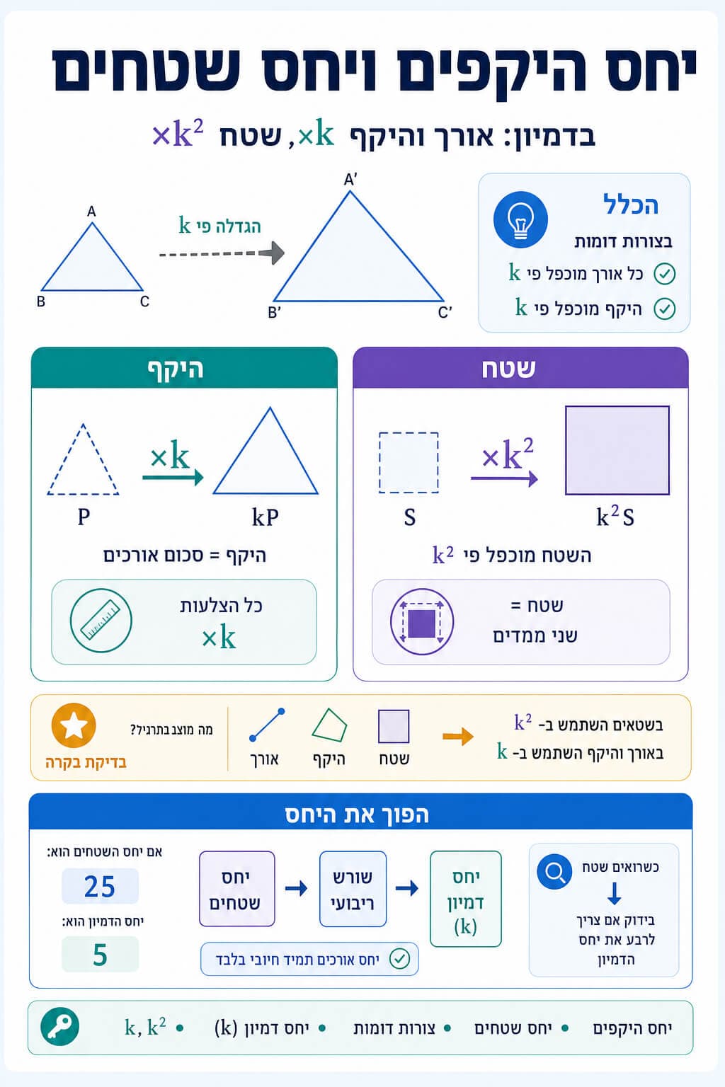 יחס היקפים ויחס שטחים - סיכום מלא ומפורט
