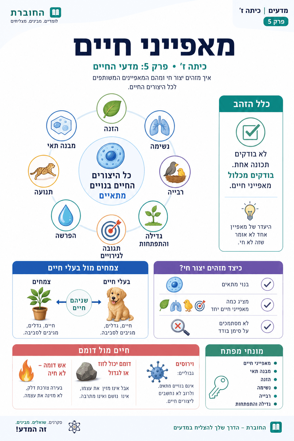 מאפייני חיים - סיכום מלא ומפורט
