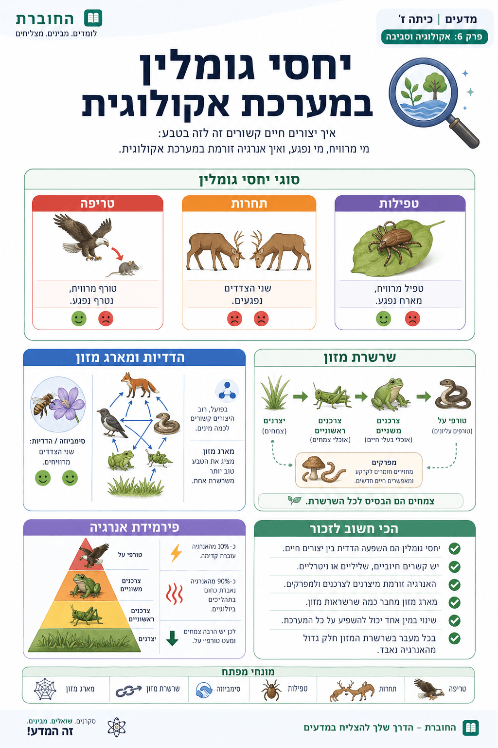 יחסי גומלין במערכת אקולוגית - סיכום מלא ומפורט