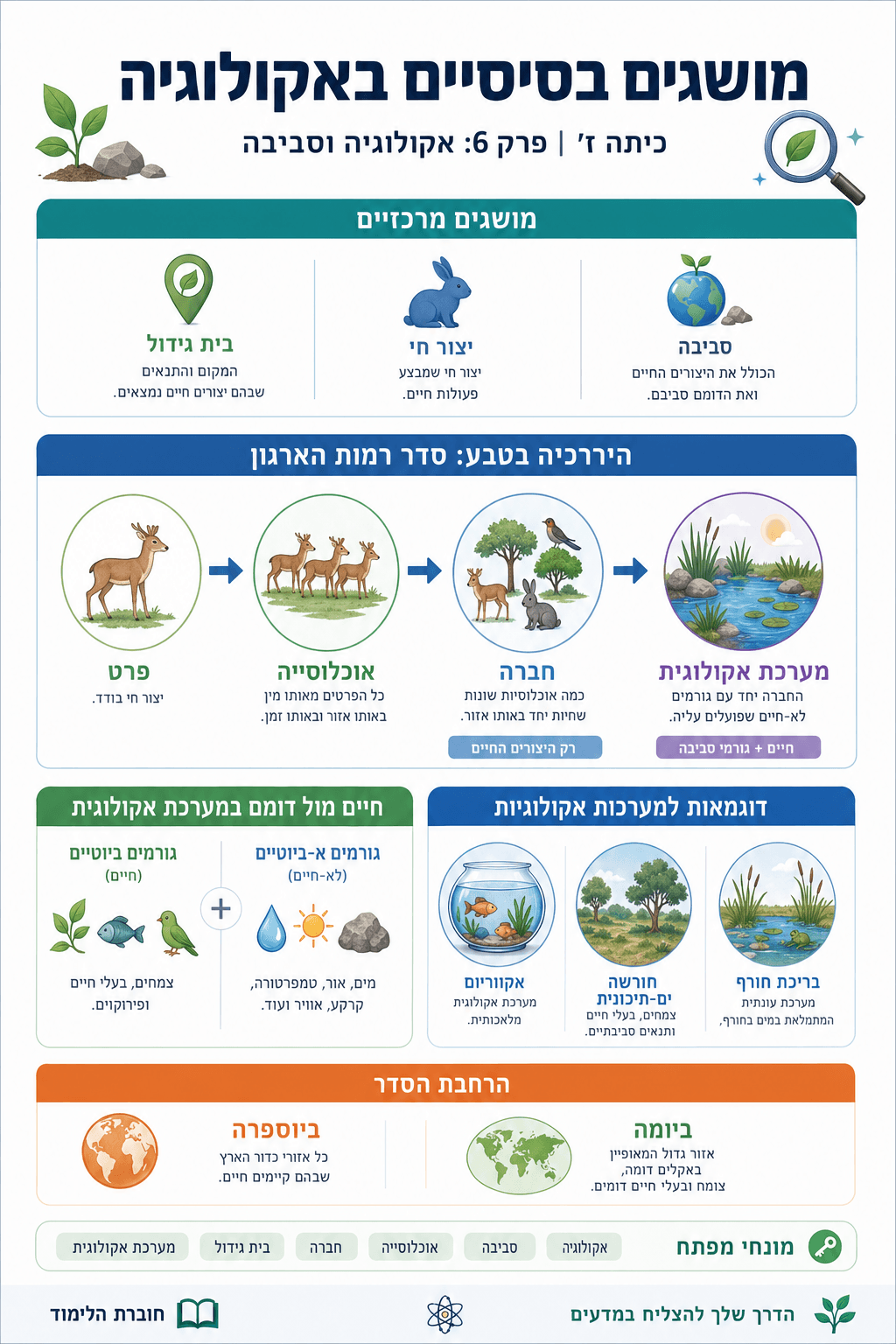 מושגים בסיסיים באקולוגיה - סיכום מלא ומפורט