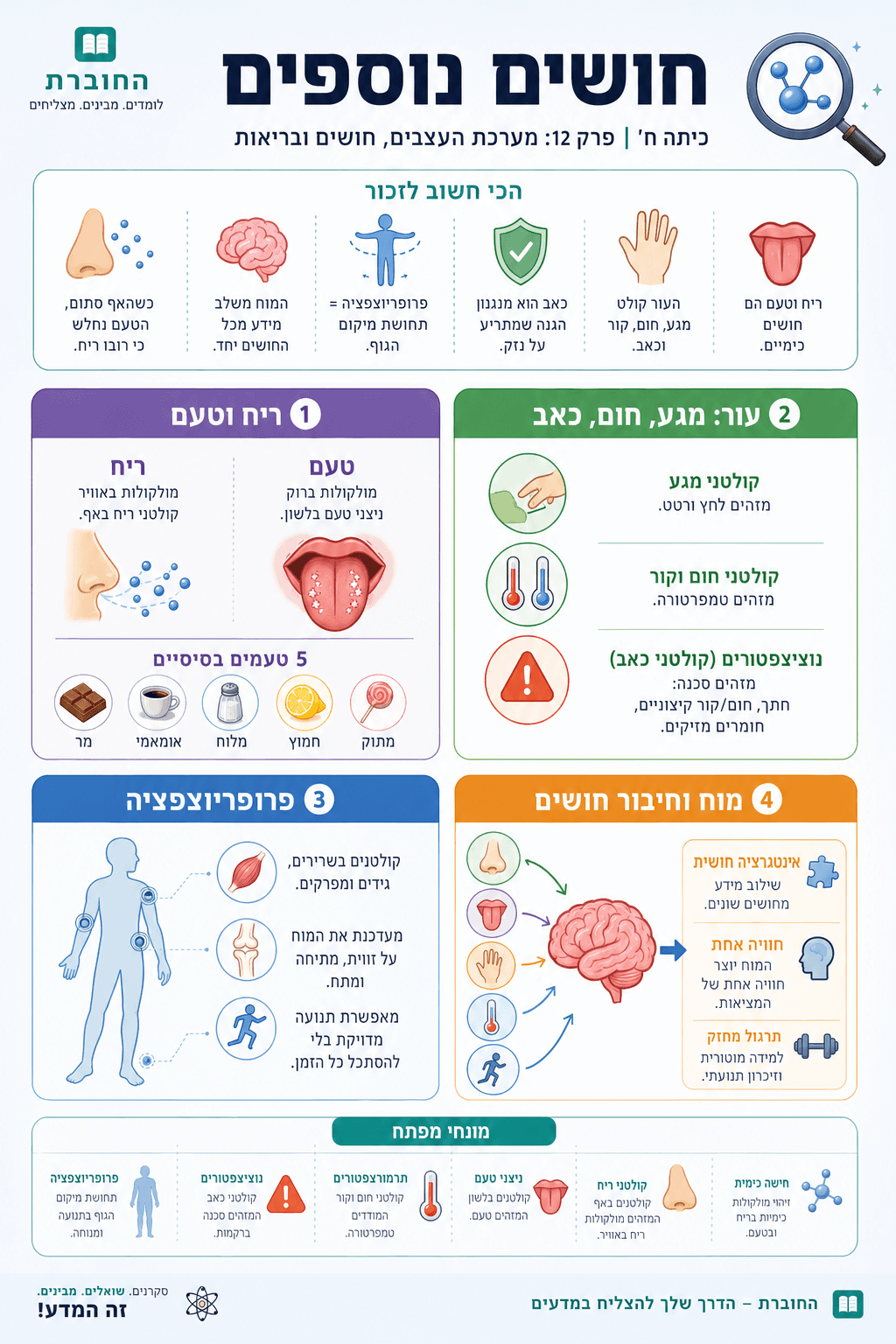 חושים נוספים - סיכום מלא ומפורט