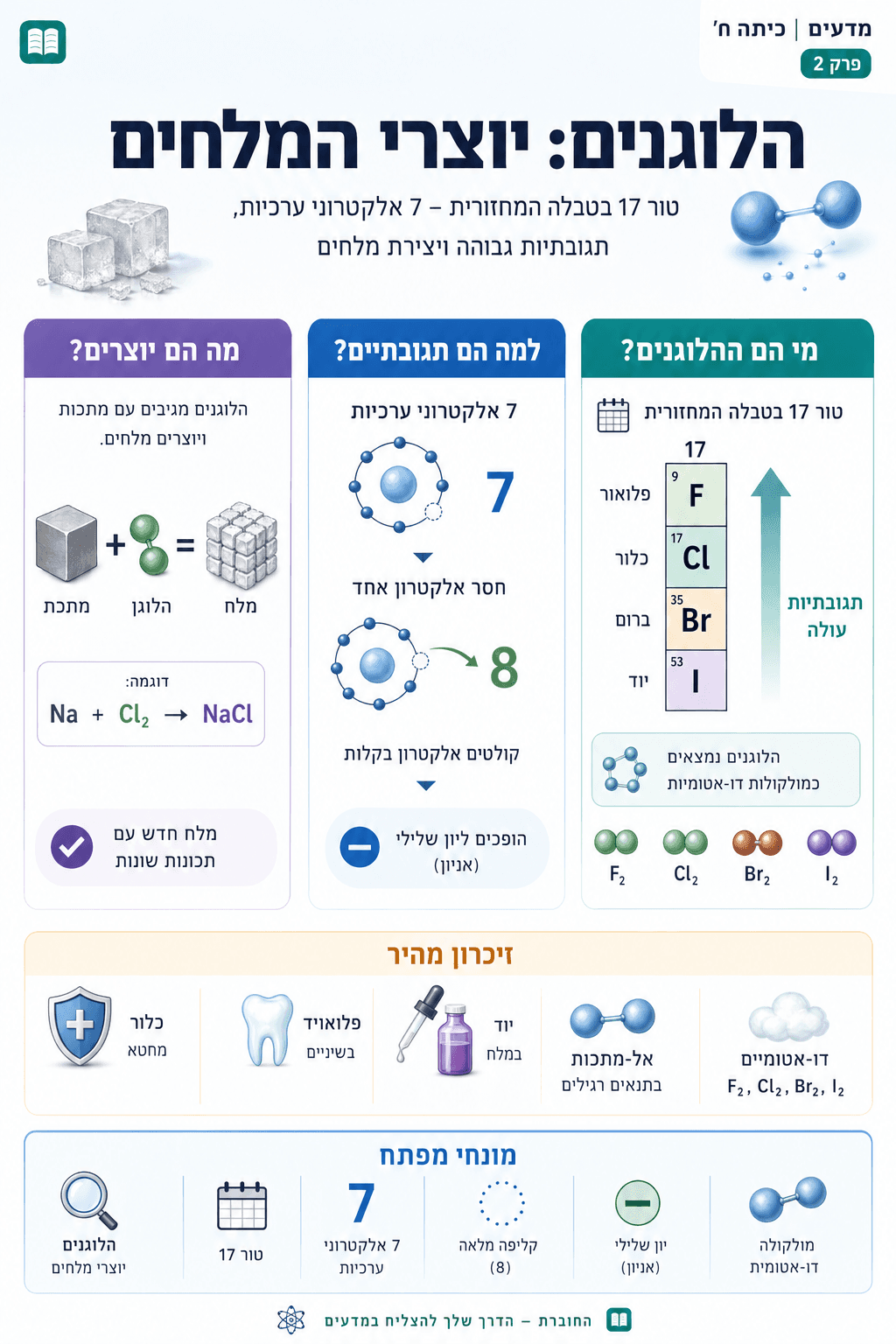 הלוגנים: יוצרי המלחים - סיכום מלא ומפורט