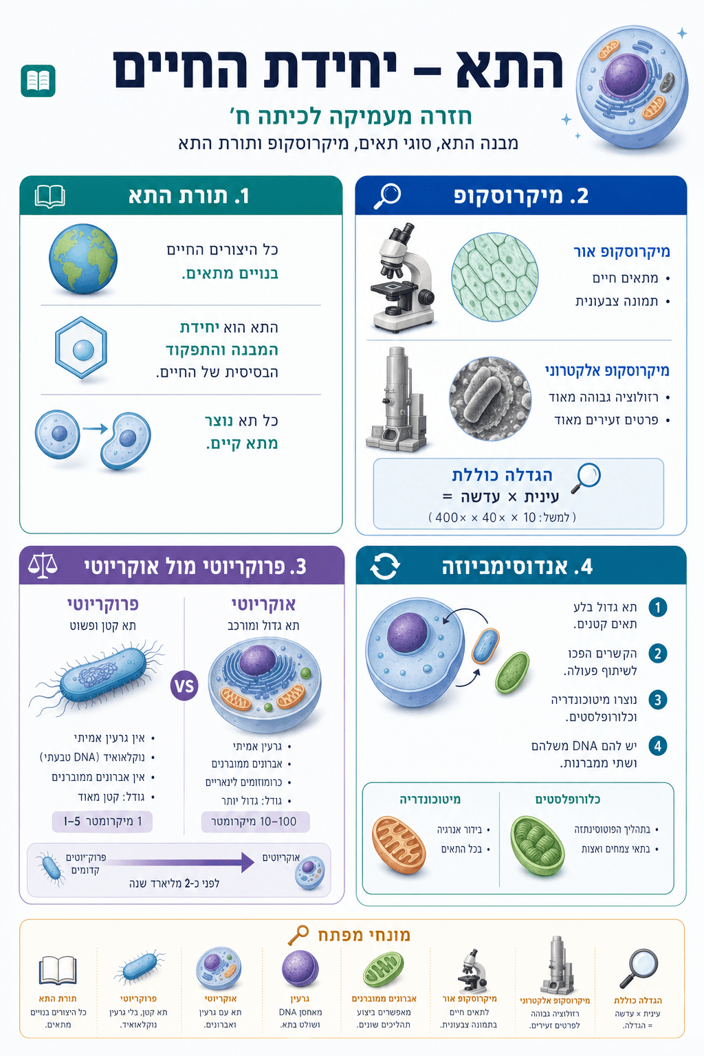 חזרה מעמיקה על התא - סיכום מלא ומפורט