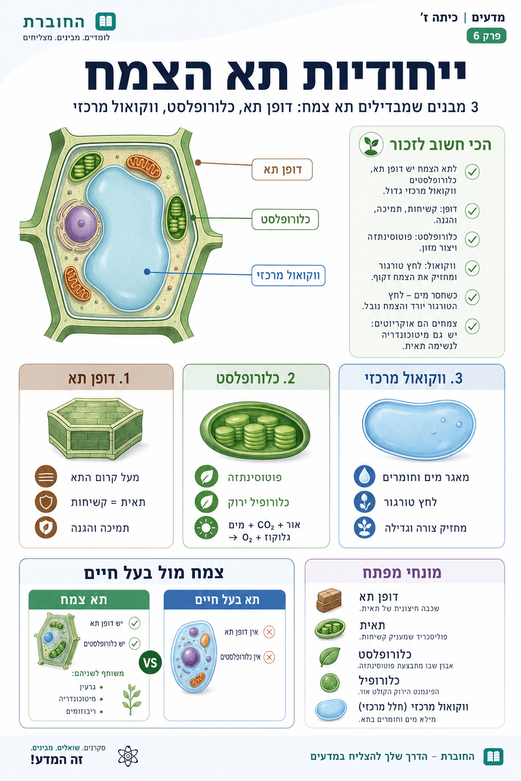 ייחודיות תא הצמח - סיכום מלא ומפורט