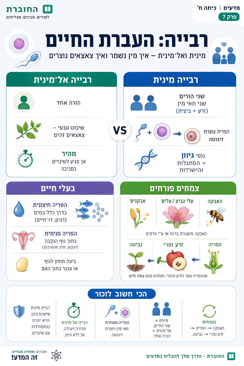 רבייה - העברת החיים - סיכום מלא ומפורט