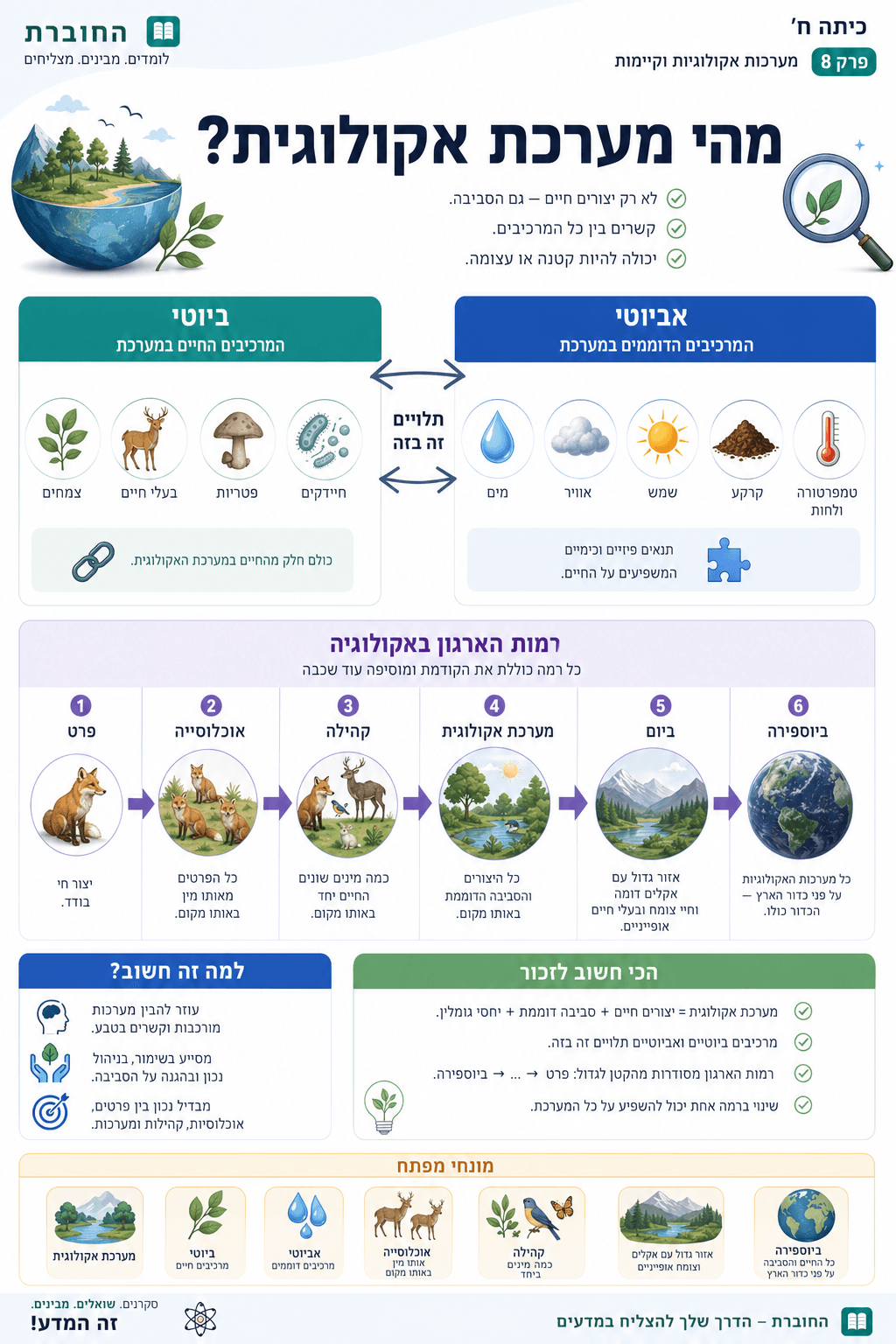 מהי מערכת אקולוגית? - סיכום מלא ומפורט
