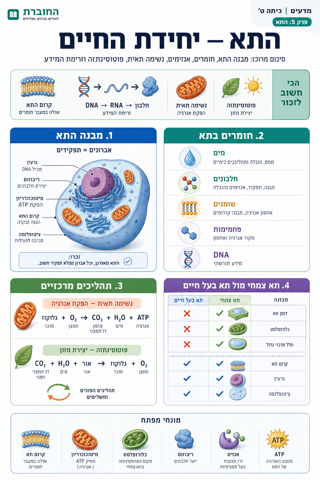 סיכום - התא - סיכום מלא ומפורט