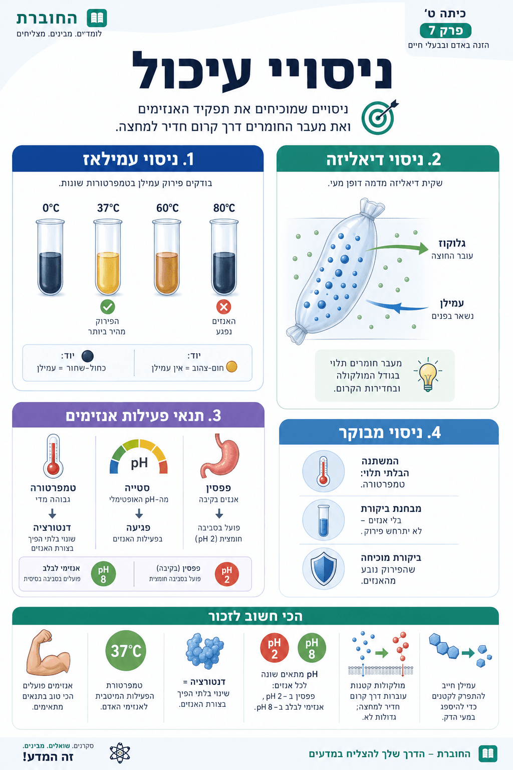 ניסויי עיכול - סיכום מלא ומפורט