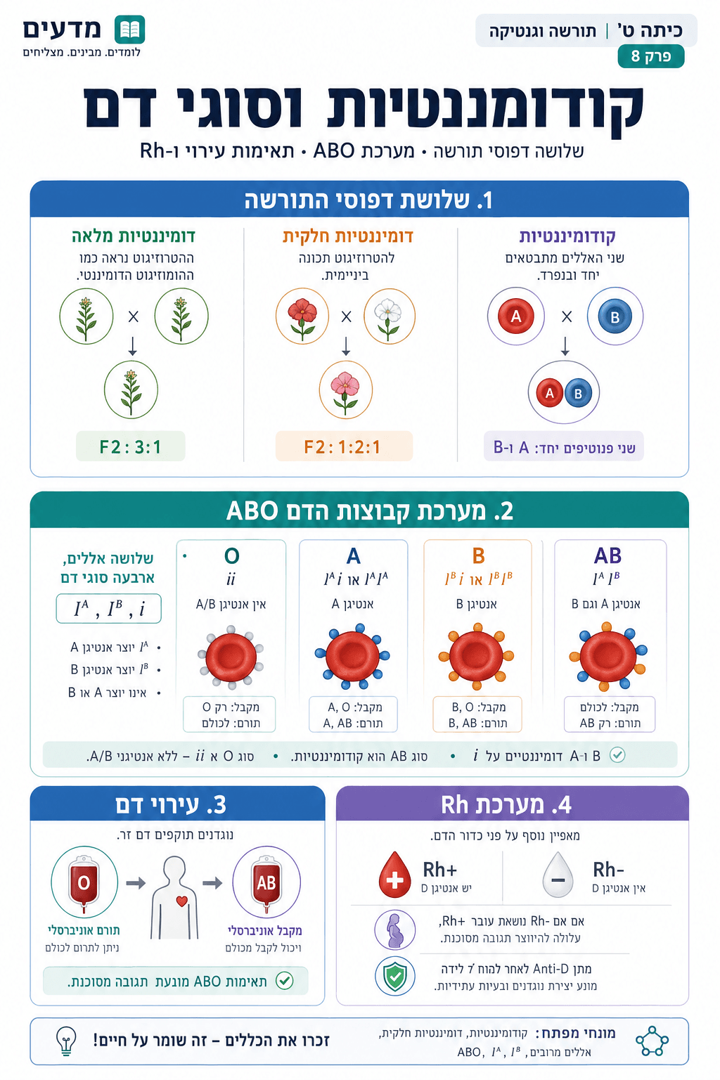 קודומיננטיות וסוגי דם - סיכום מלא ומפורט