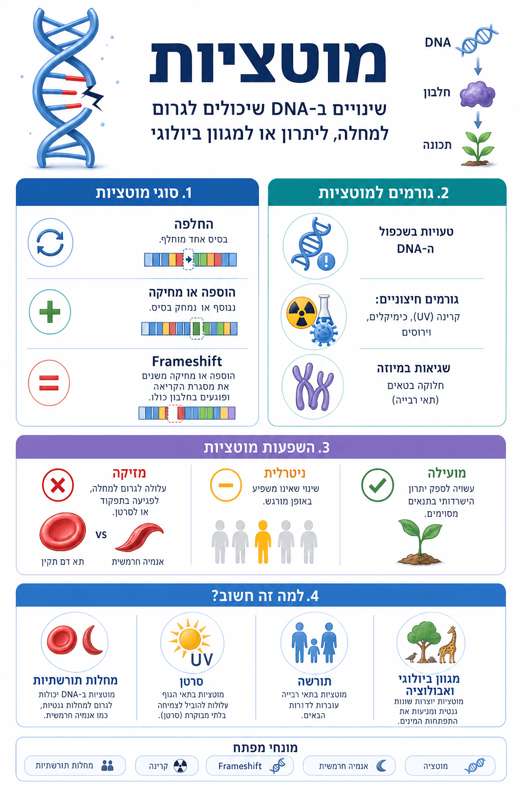 מוטציות - סיכום מלא ומפורט