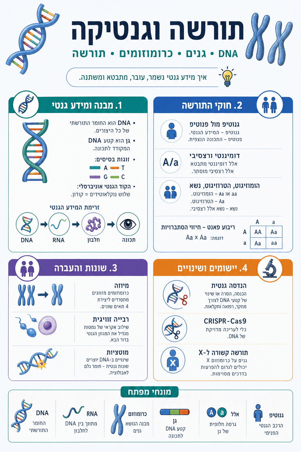 סיכום - תורשה וגנטיקה - סיכום מלא ומפורט