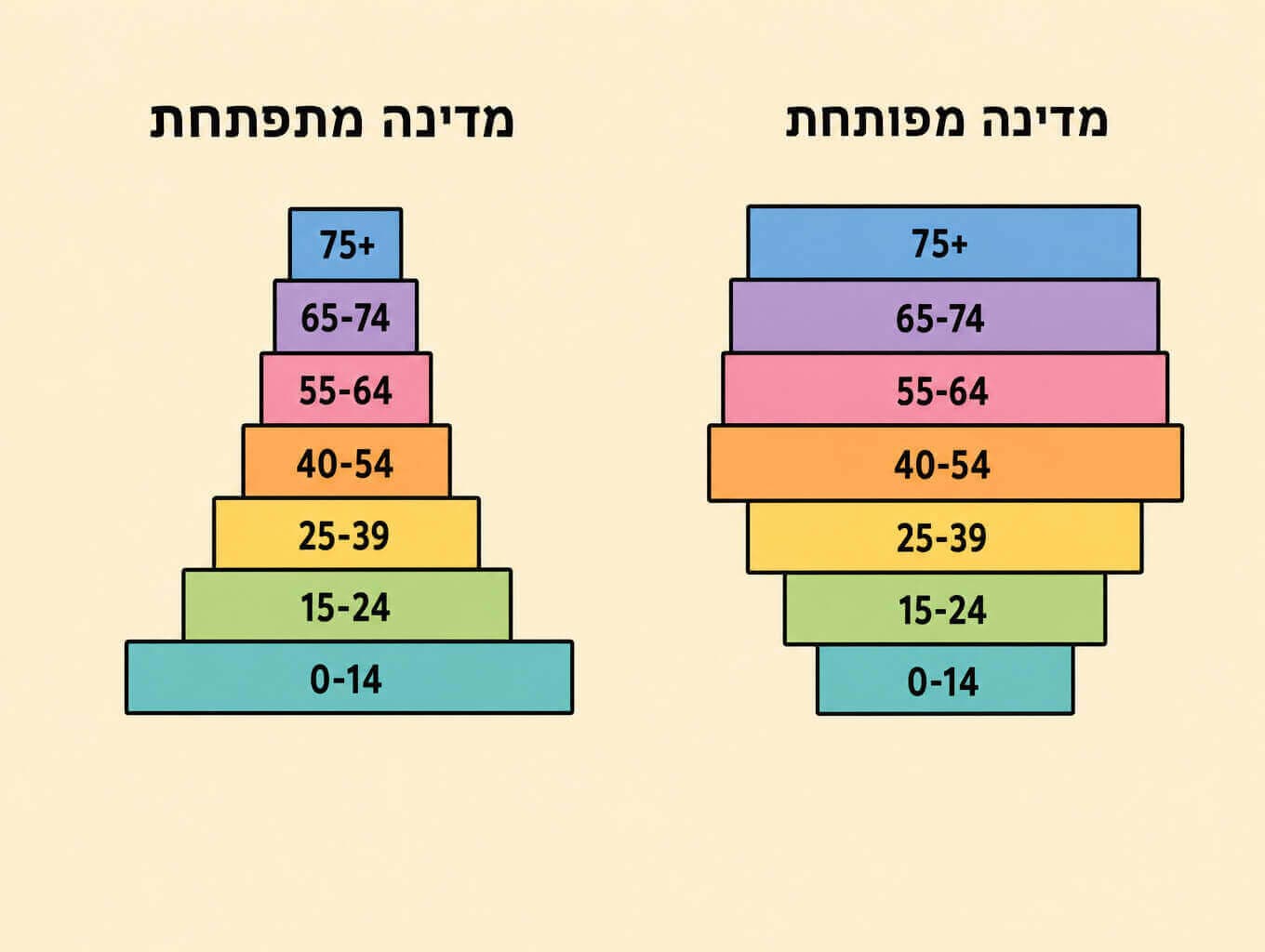 תמונה הממחישה שתי פירמידות גיל זו לצד זו פירמידה רחבה בבסיס למדינה מתפתחת ופירמידה צרה בבסיס למדינה מפותחת