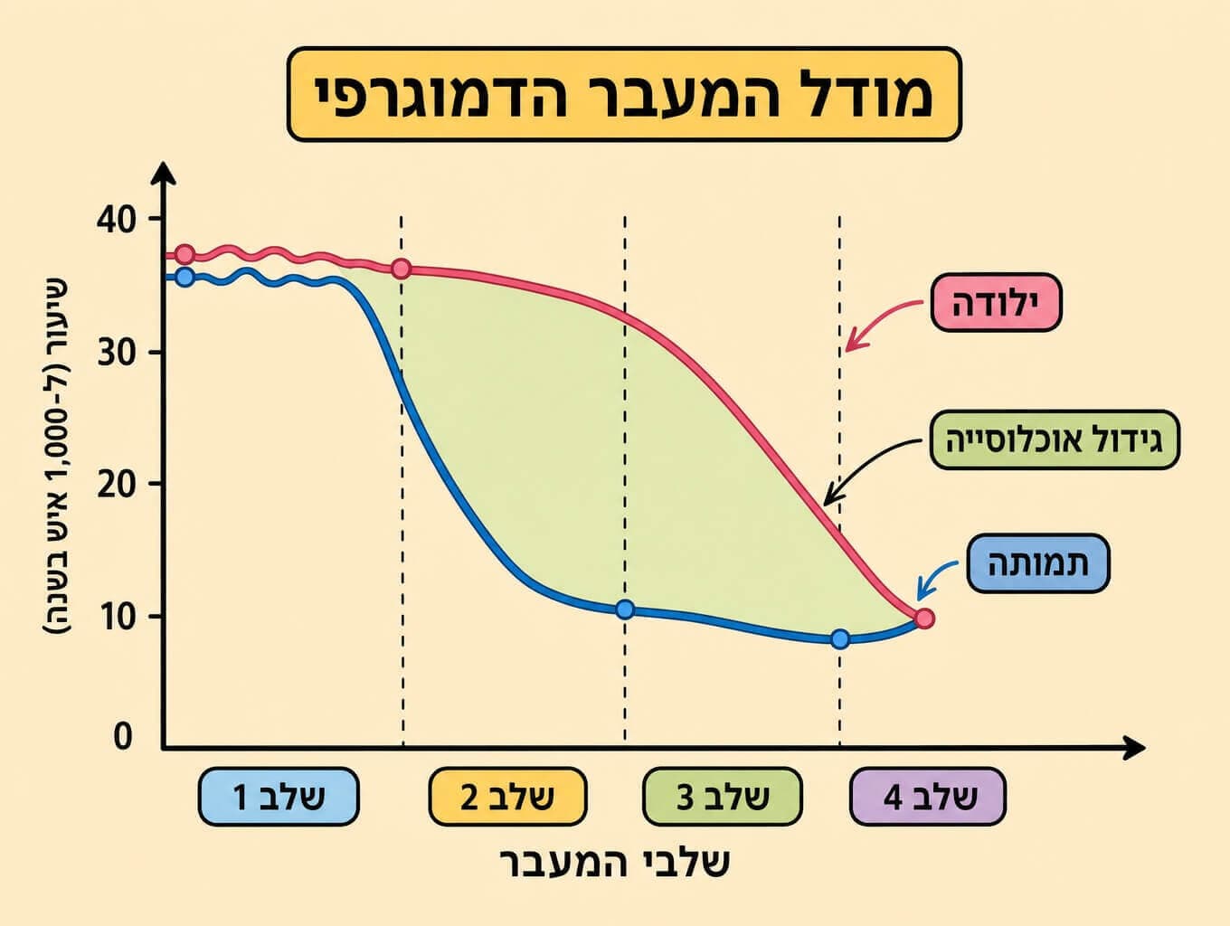 גרף מודל המעבר הדמוגרפי בארבעה שלבים עם קו ילודה וקו תמותה והרווח ביניהם כגידול האוכלוסייה