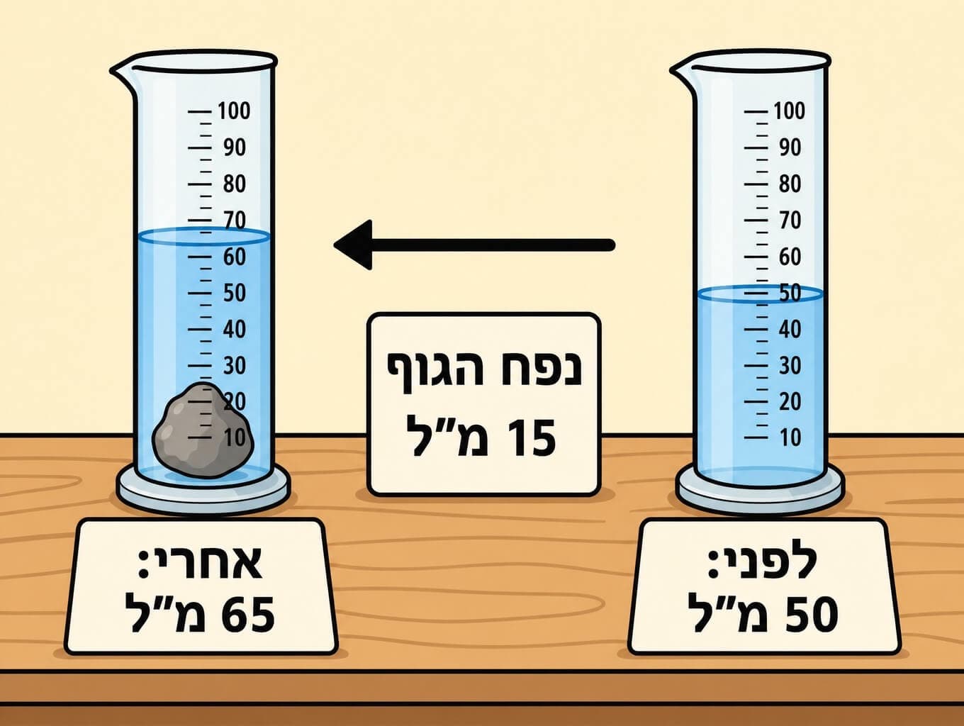 תמונה הממחישה את מדידת נפח של אבן בעזרת שיטת דחיקת המים במשורה