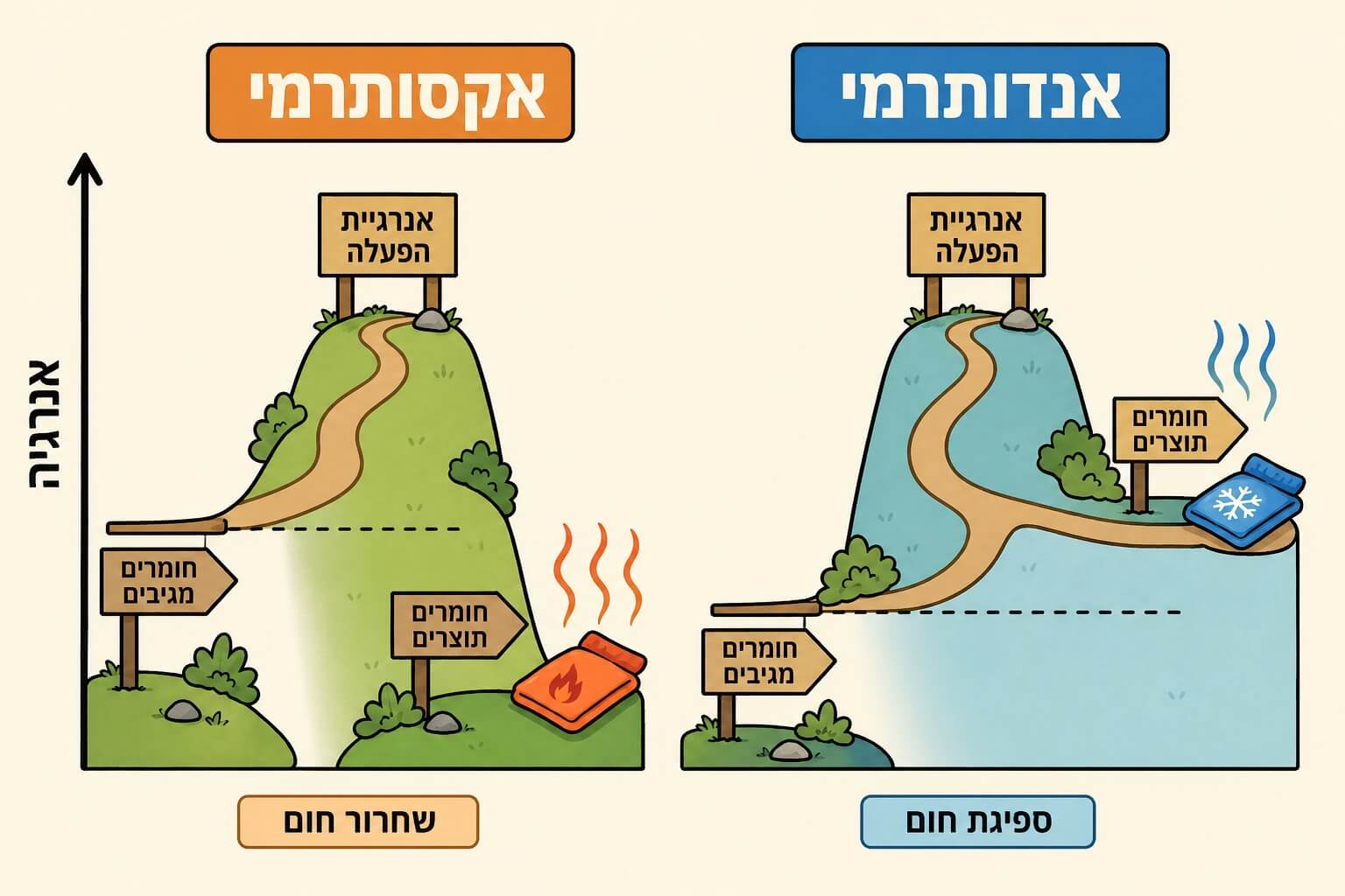 תמונה הממחישה את אנרגיית ההפעלה בתגובות אקסותרמיות ואנדותרמיות