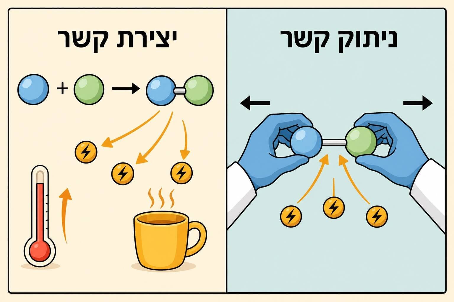 תמונה הממחישה את מאזן האנרגיה בין ניתוק קשרים ליצירת קשרים כימיים