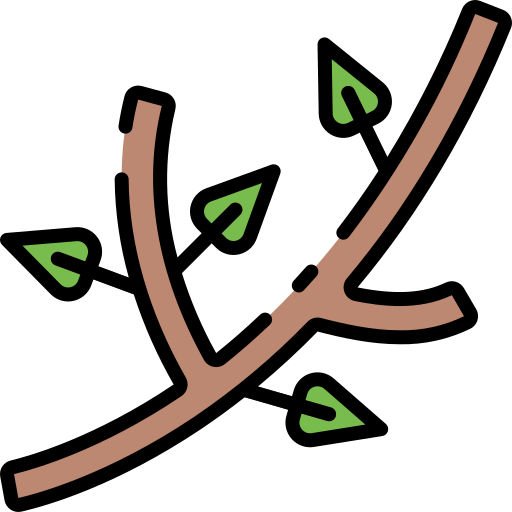 branch