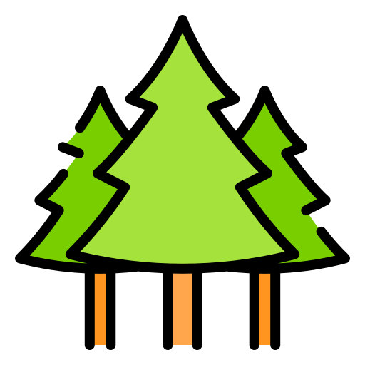 geography/016-forest