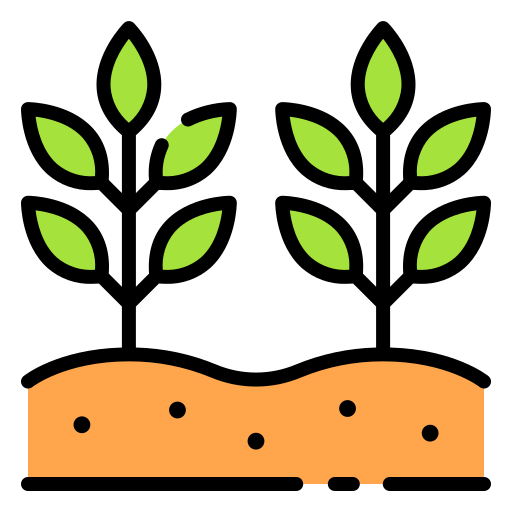geography/032-plants