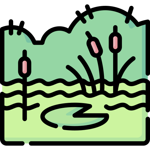 geography/046-swamp