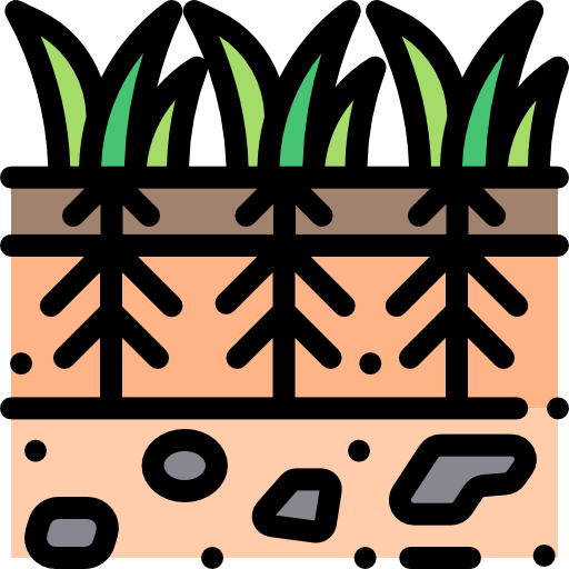 geography/049-plants